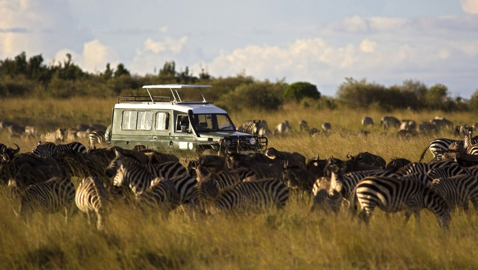SCENIC AMBOSELI SAFARI.