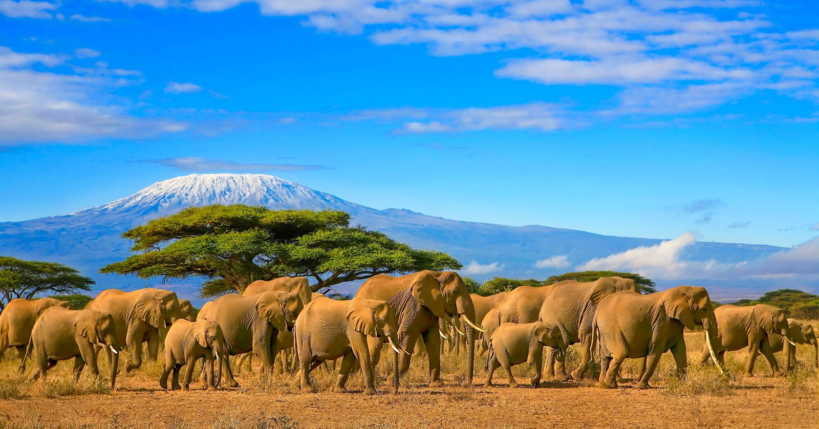 10 Days Two Nation Safari