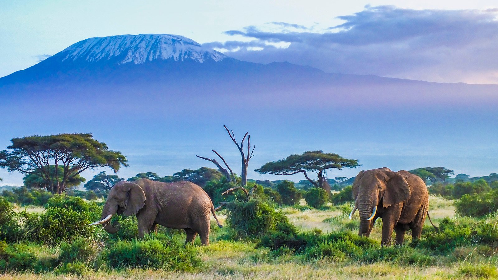 4-Days West Across Kenya Safari