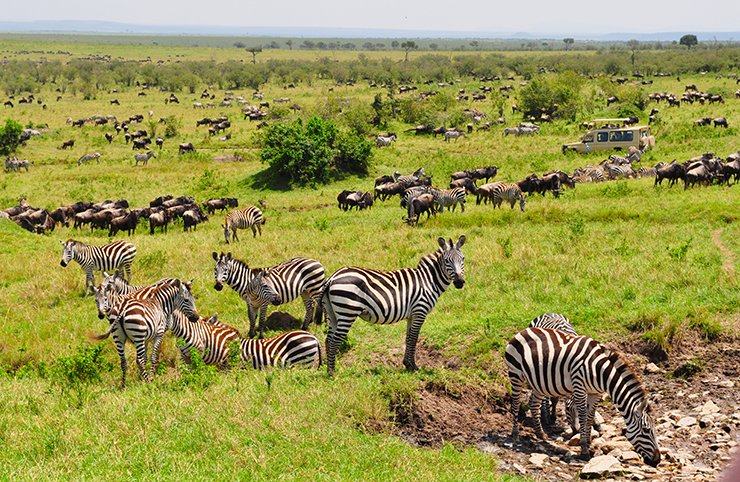 4-Day Maasai Culture and Mara Wildlife