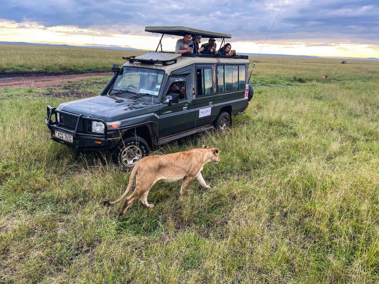 Birds and Beasts of Kenya Safari