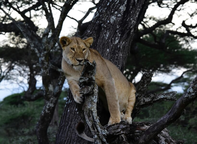 Lake Mburo National Park