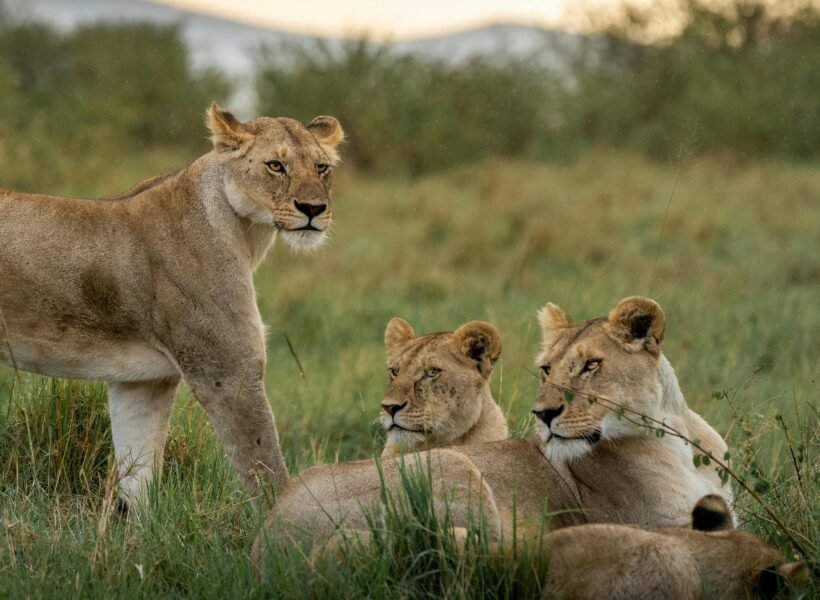 Semuliki National Park