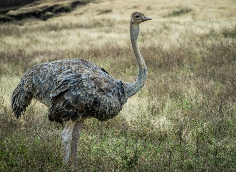 Arusha National Park