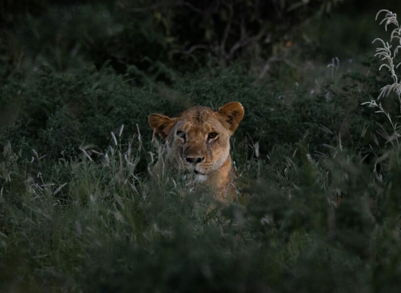 Tsavo East National Park
