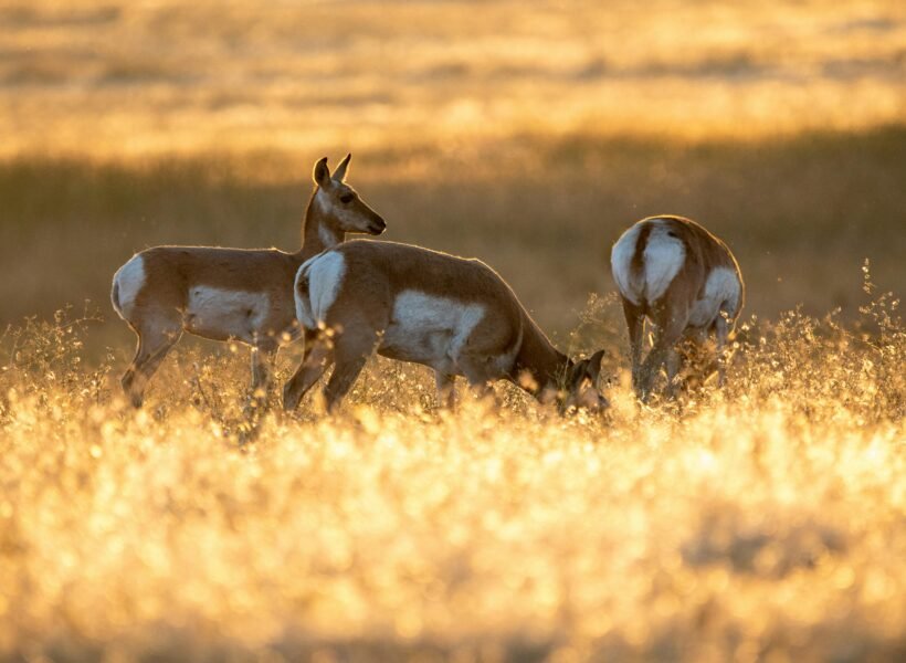 Semuliki National Park