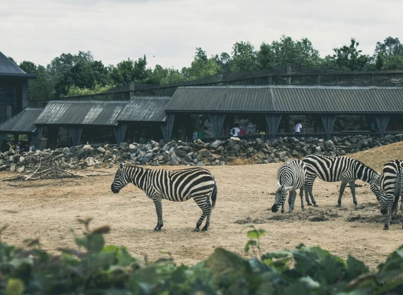 Ruma National Park