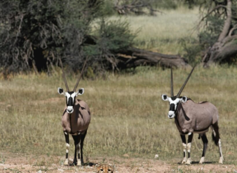 Tarangire National Park