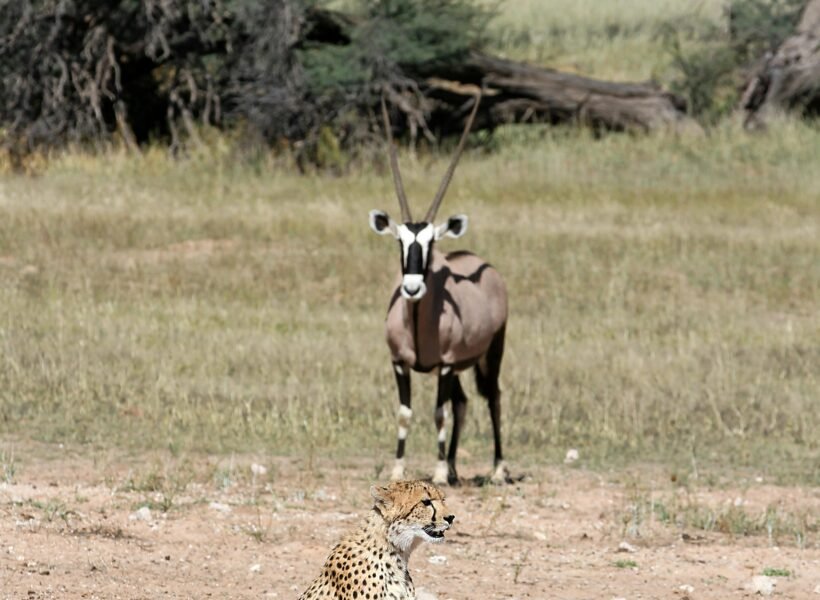 Marsabit National Park