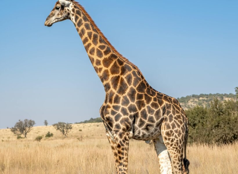 Serengeti National Park