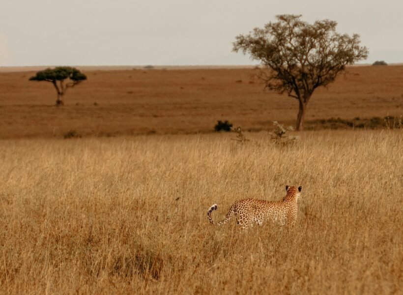 Arusha National Park