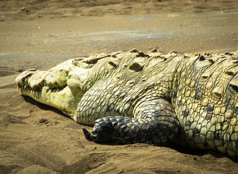 Serengeti National Park