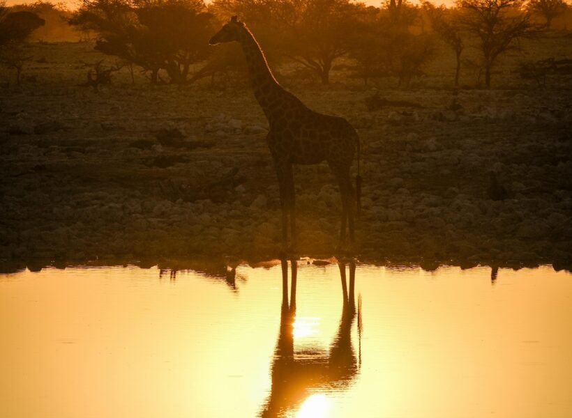 Kidepo Valley National Park