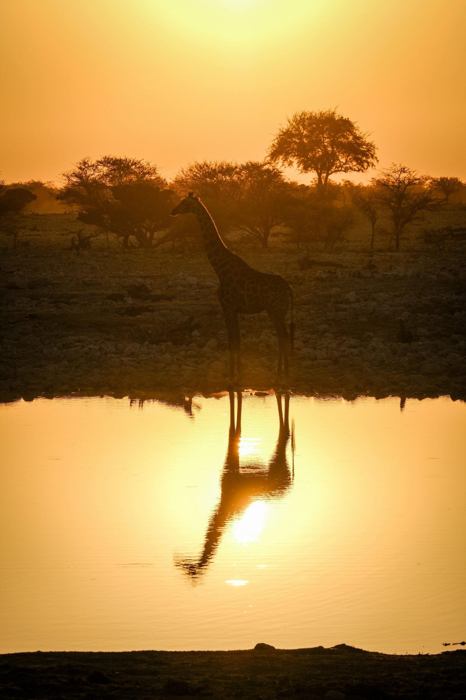 Kidepo Valley National Park
