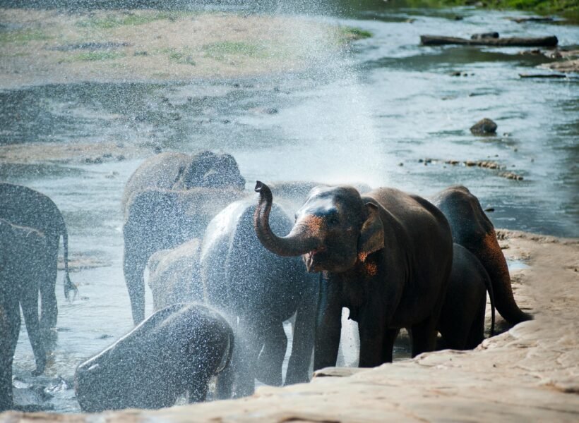Tarangire National Park