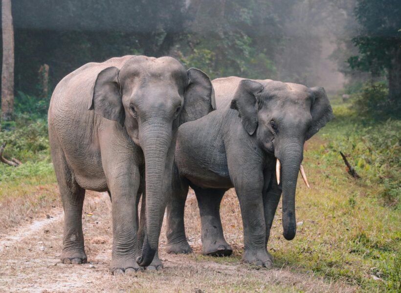 Semuliki National Park