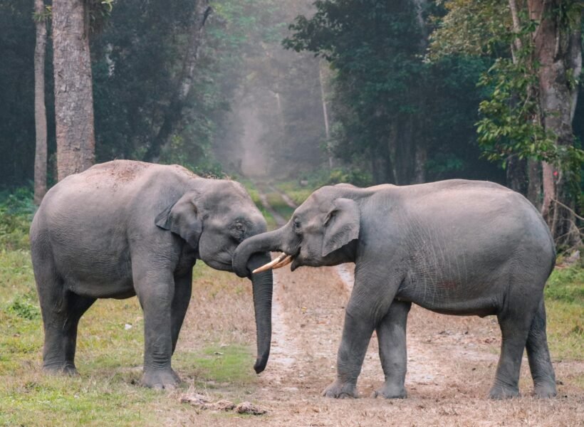 Chyulu Hills National Park