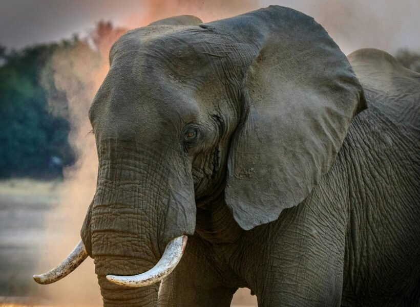 Marsabit National Park