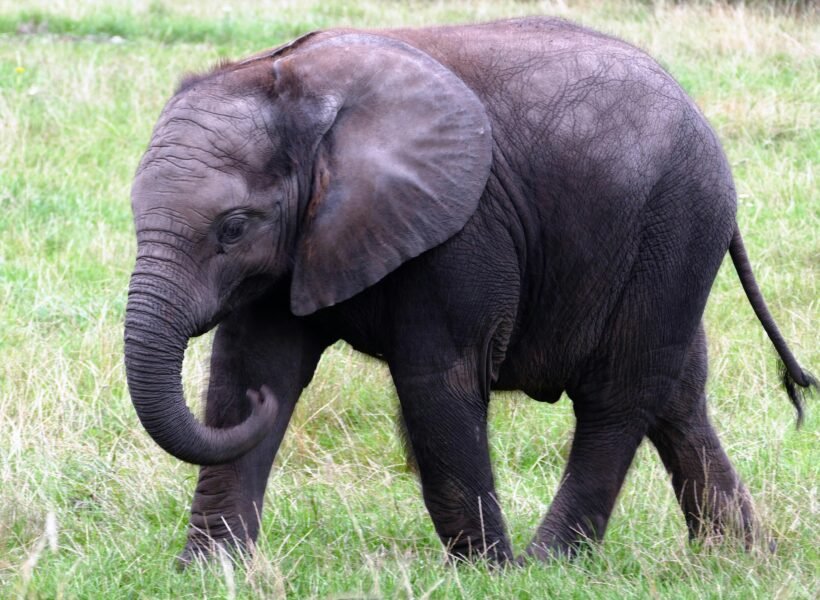 Katavi National Park