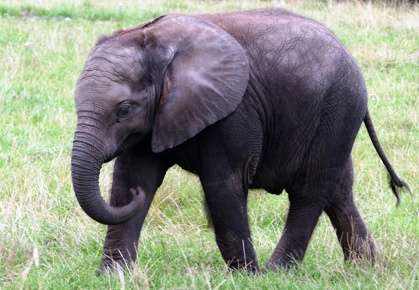 Katavi National Park