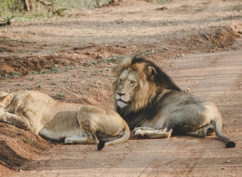Ruma National Park