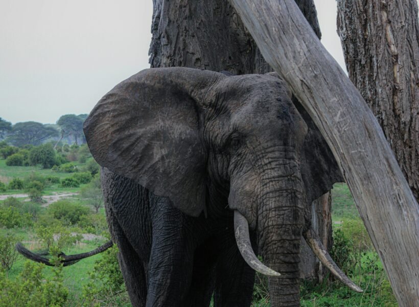 Arusha National Park