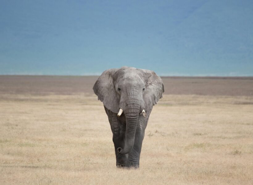 Serengeti National Park