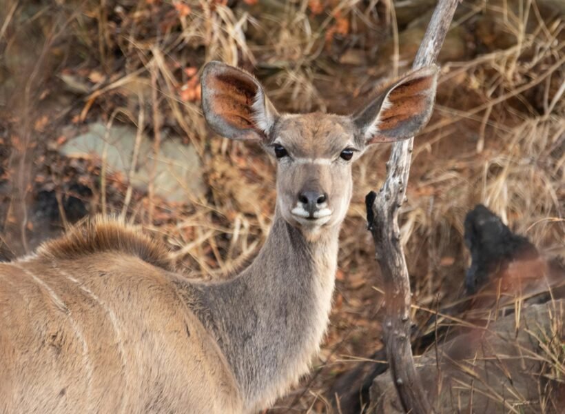 Lake Mburo National Park