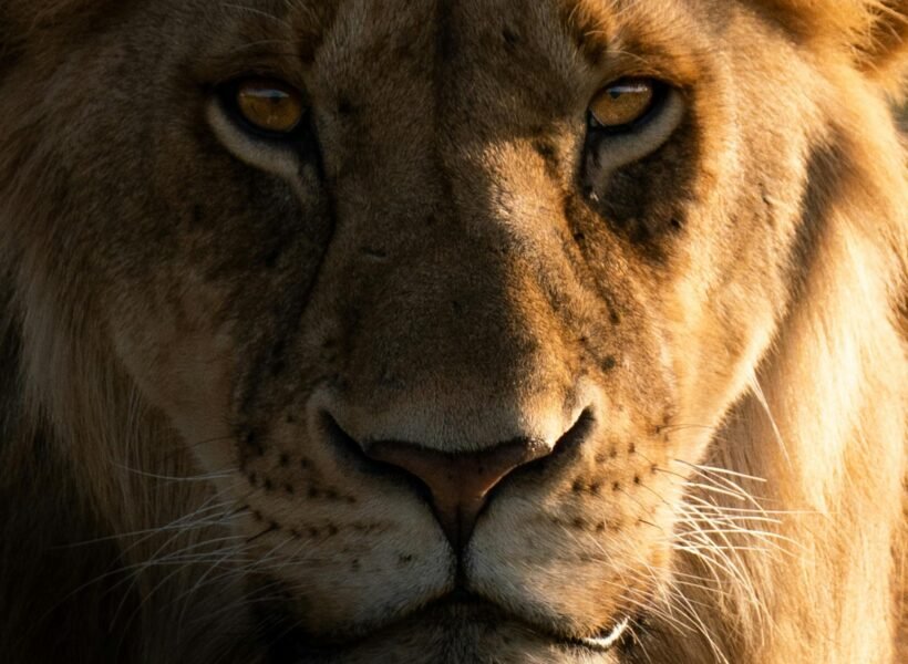 Chyulu Hills National Park