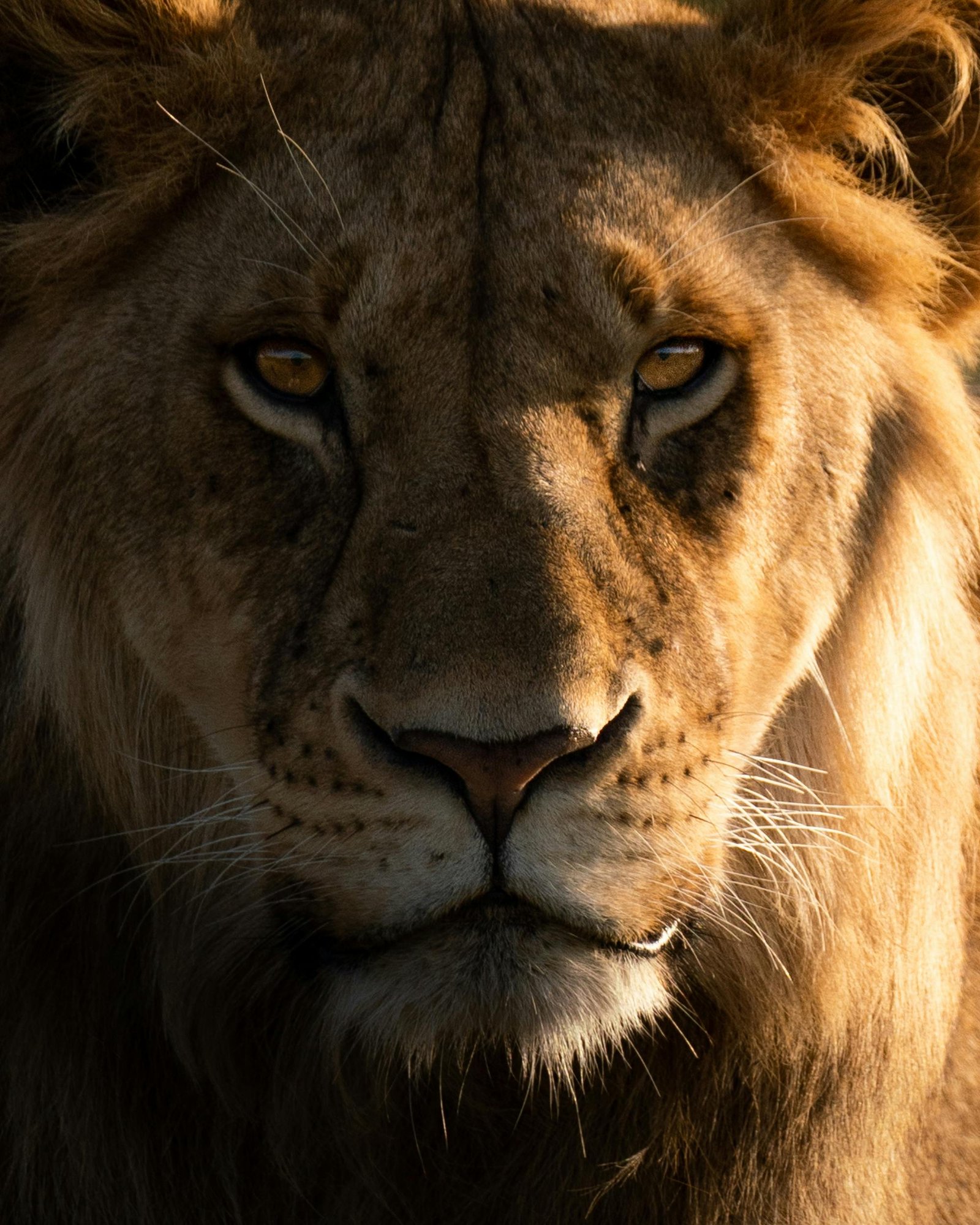 Chyulu Hills National Park