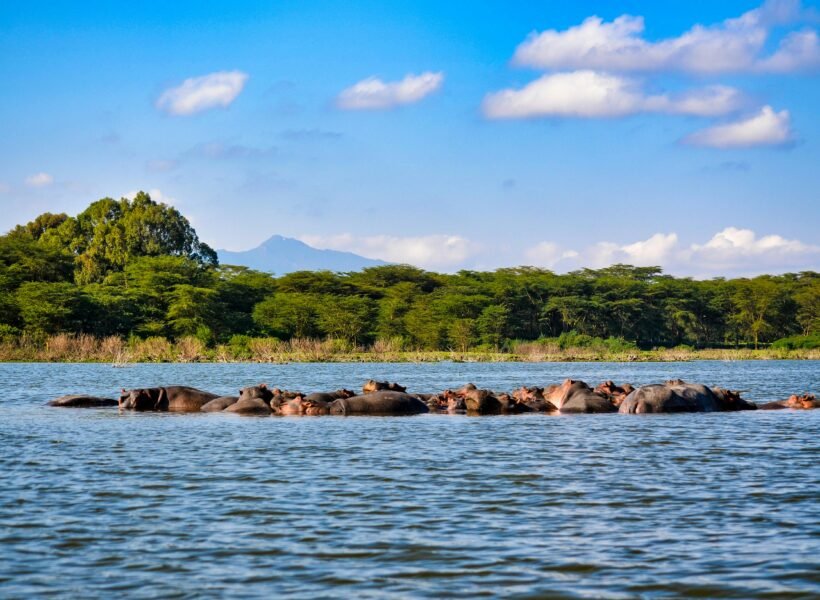 Lake Nakuru National Park