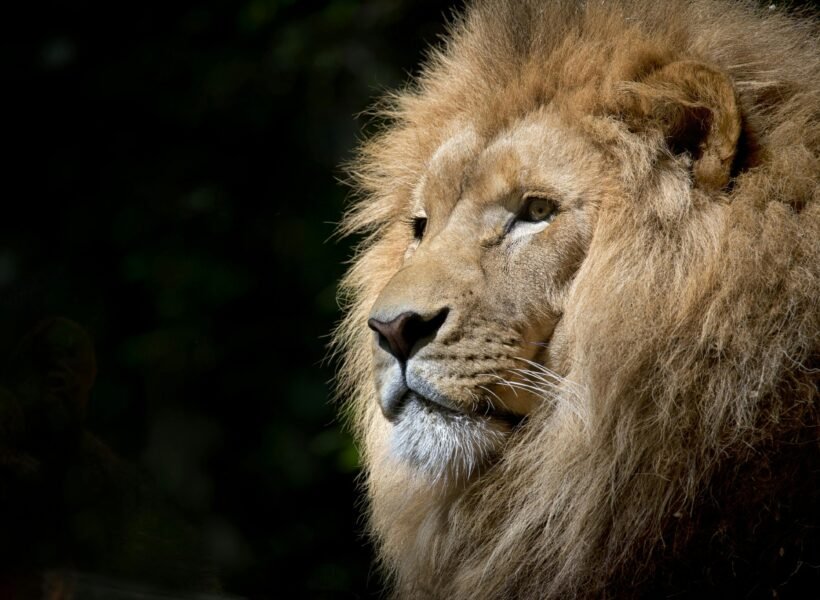 Katavi National Park