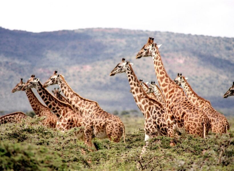 Katavi National Park