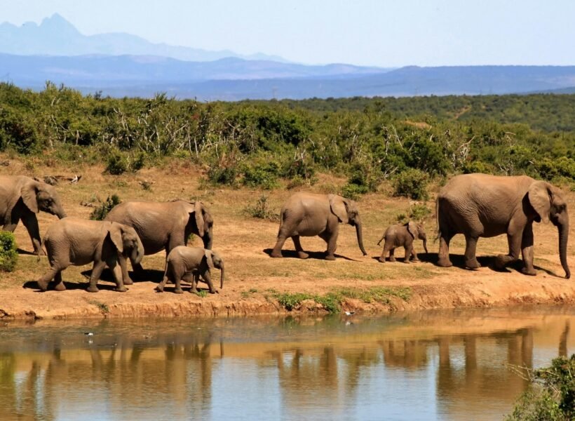 Chyulu Hills National Park