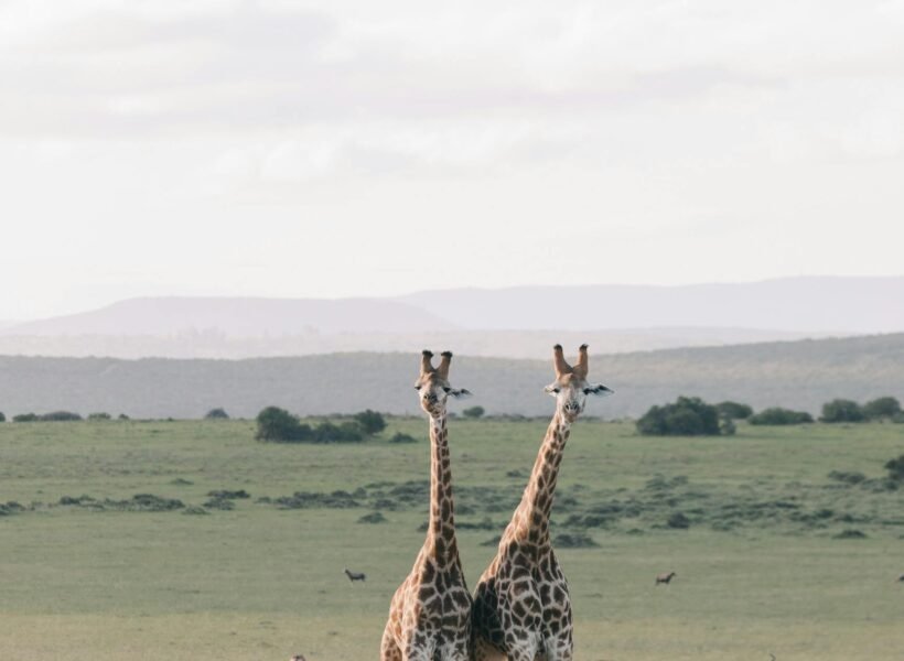 Serengeti National Park