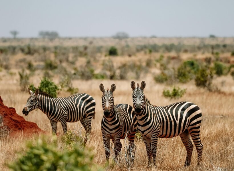 Chyulu Hills National Park