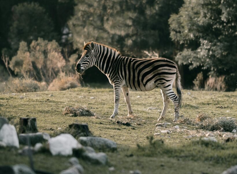 Chyulu Hills National Park