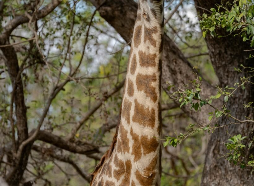 Arusha National Park