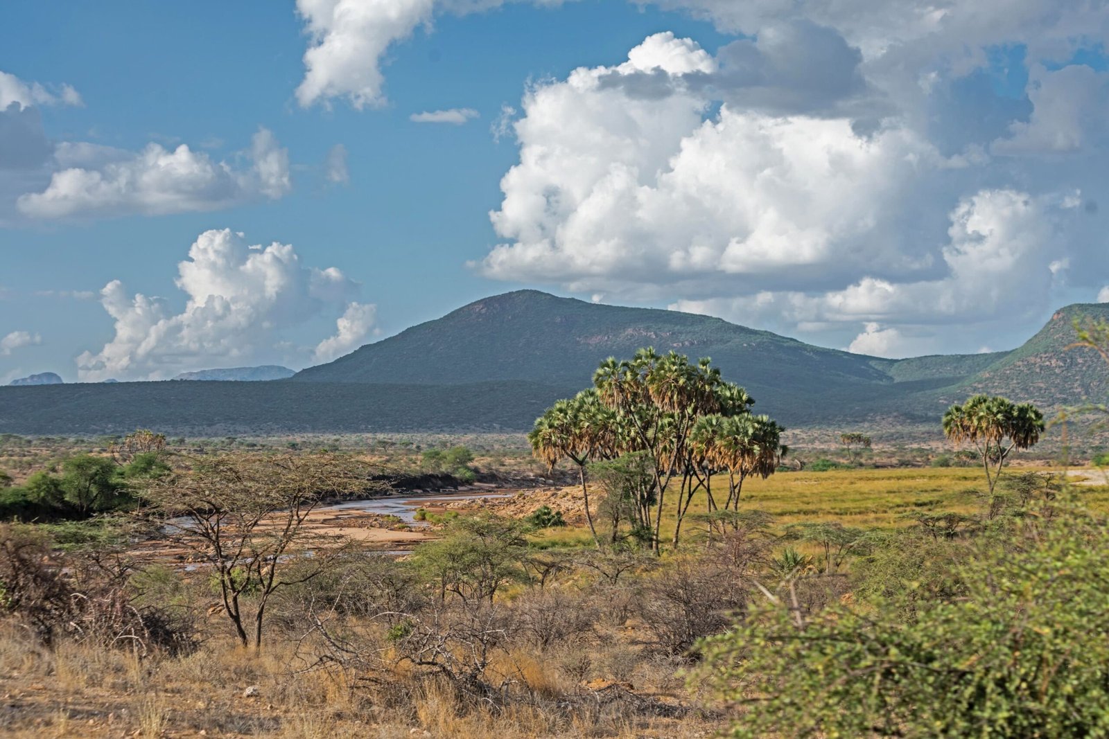Samburu Intrepids