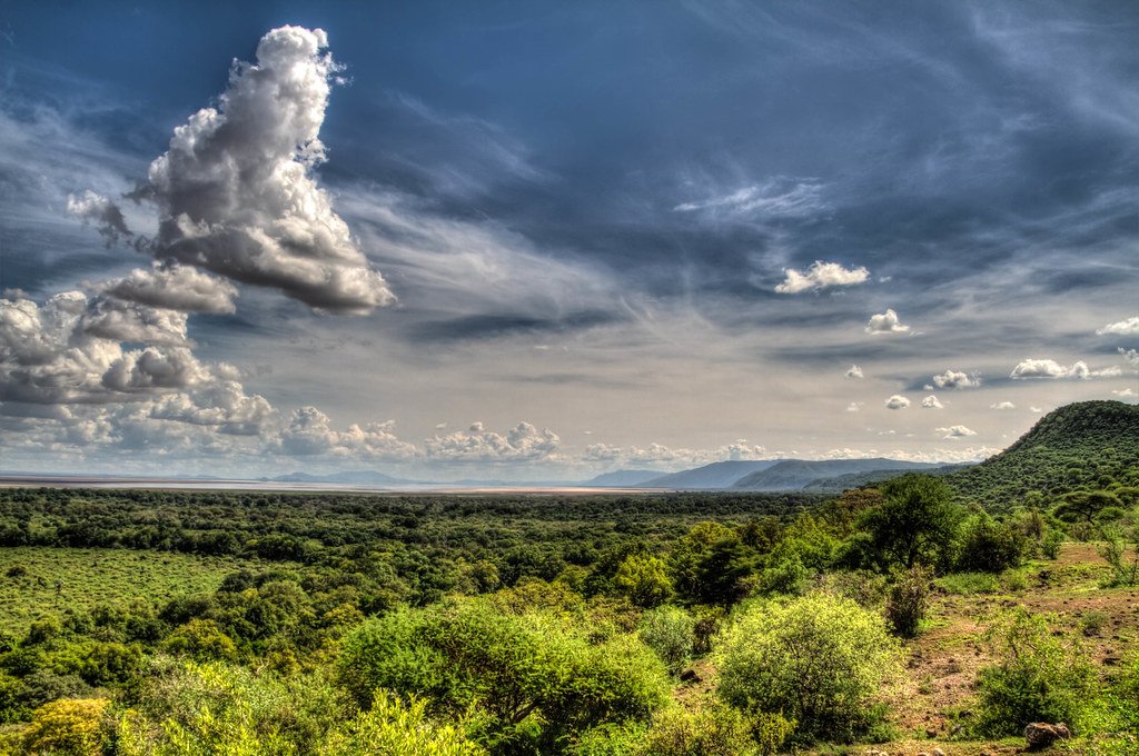 5-Day Living Among Lions – Mid-Range