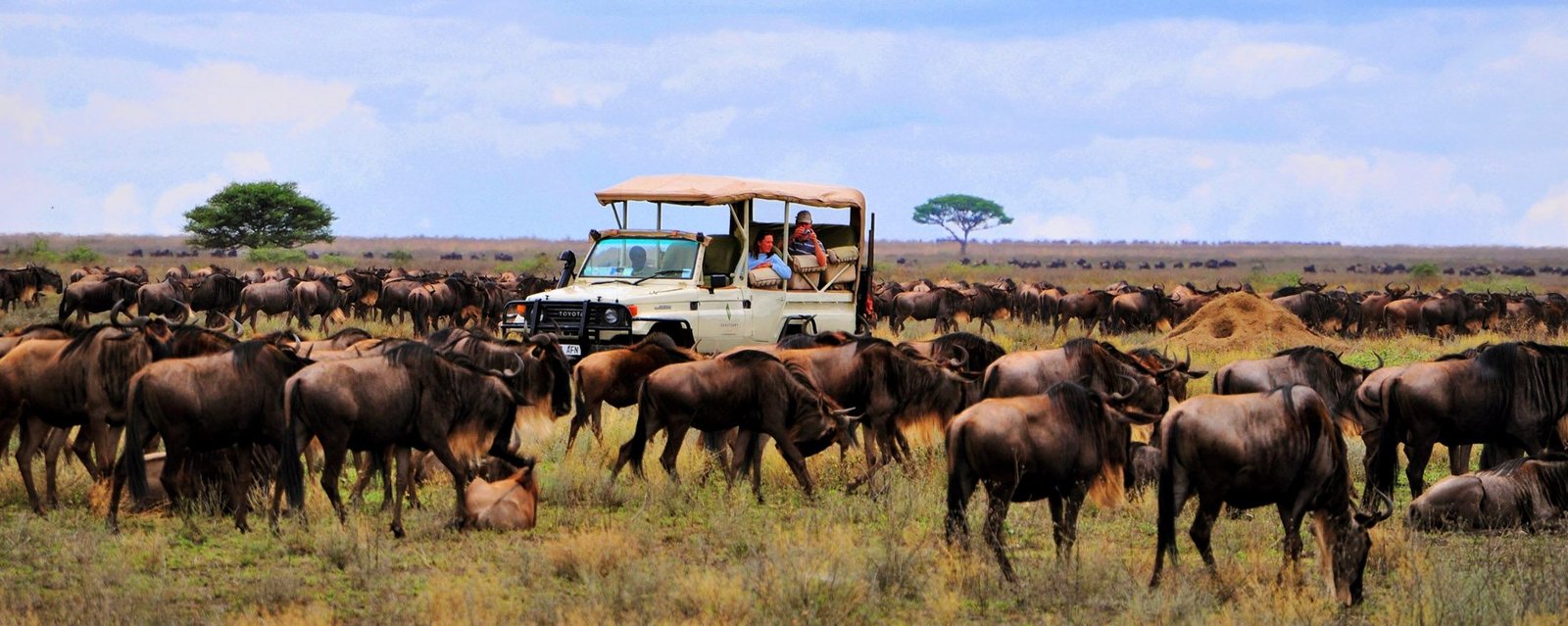 Enchanting Serengeti & Ngorongoro Crater