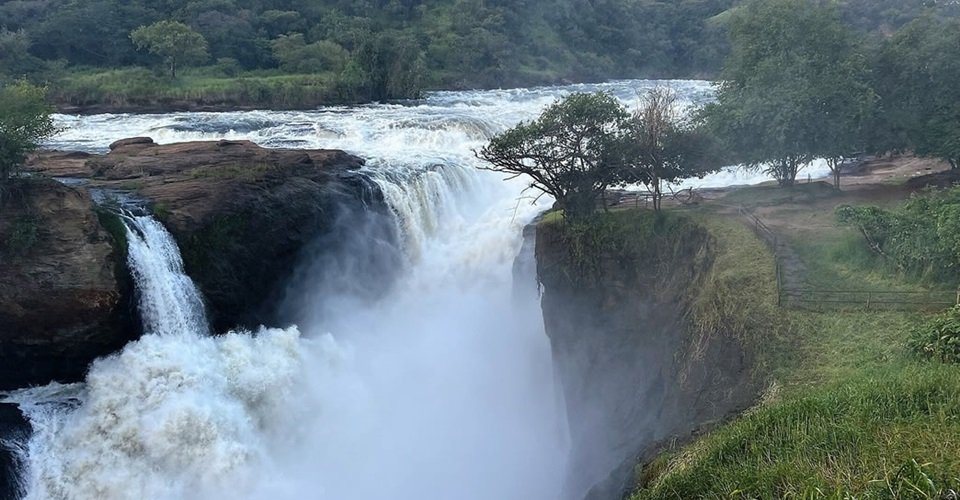 Classic Uganda Safari Experience