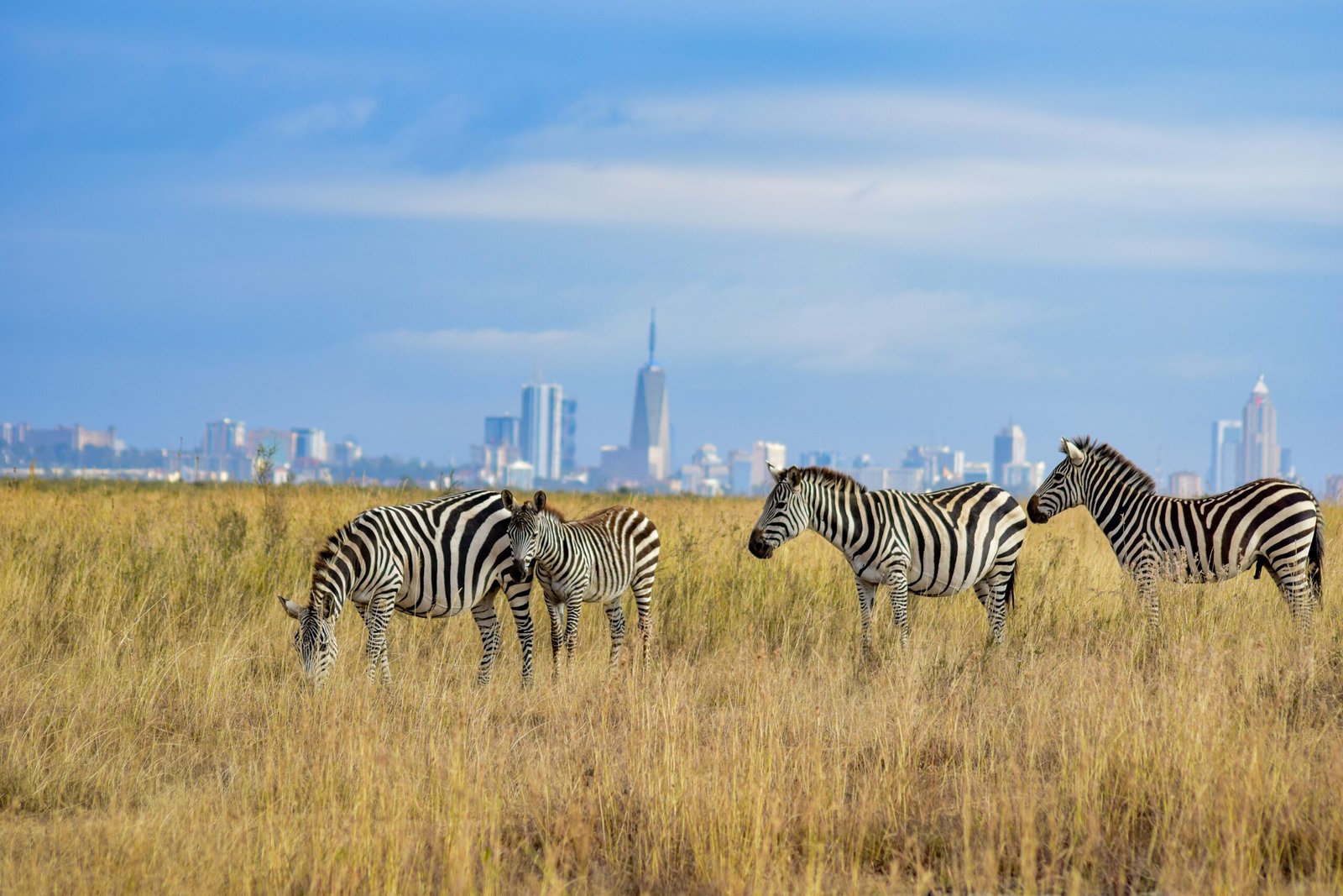 8 Day Jeep Private Safari Mara to Tsavo