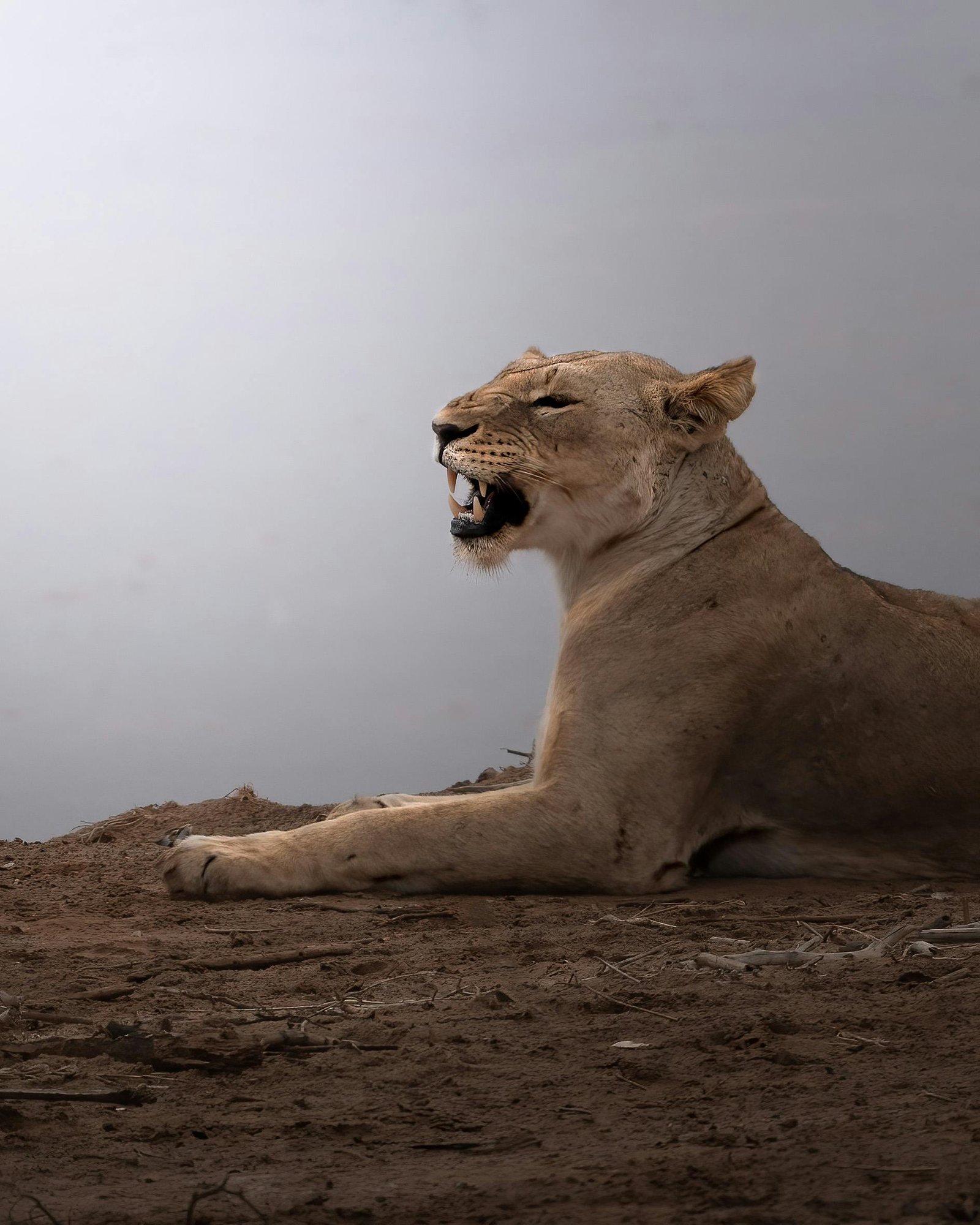 14 days Kenya: go south