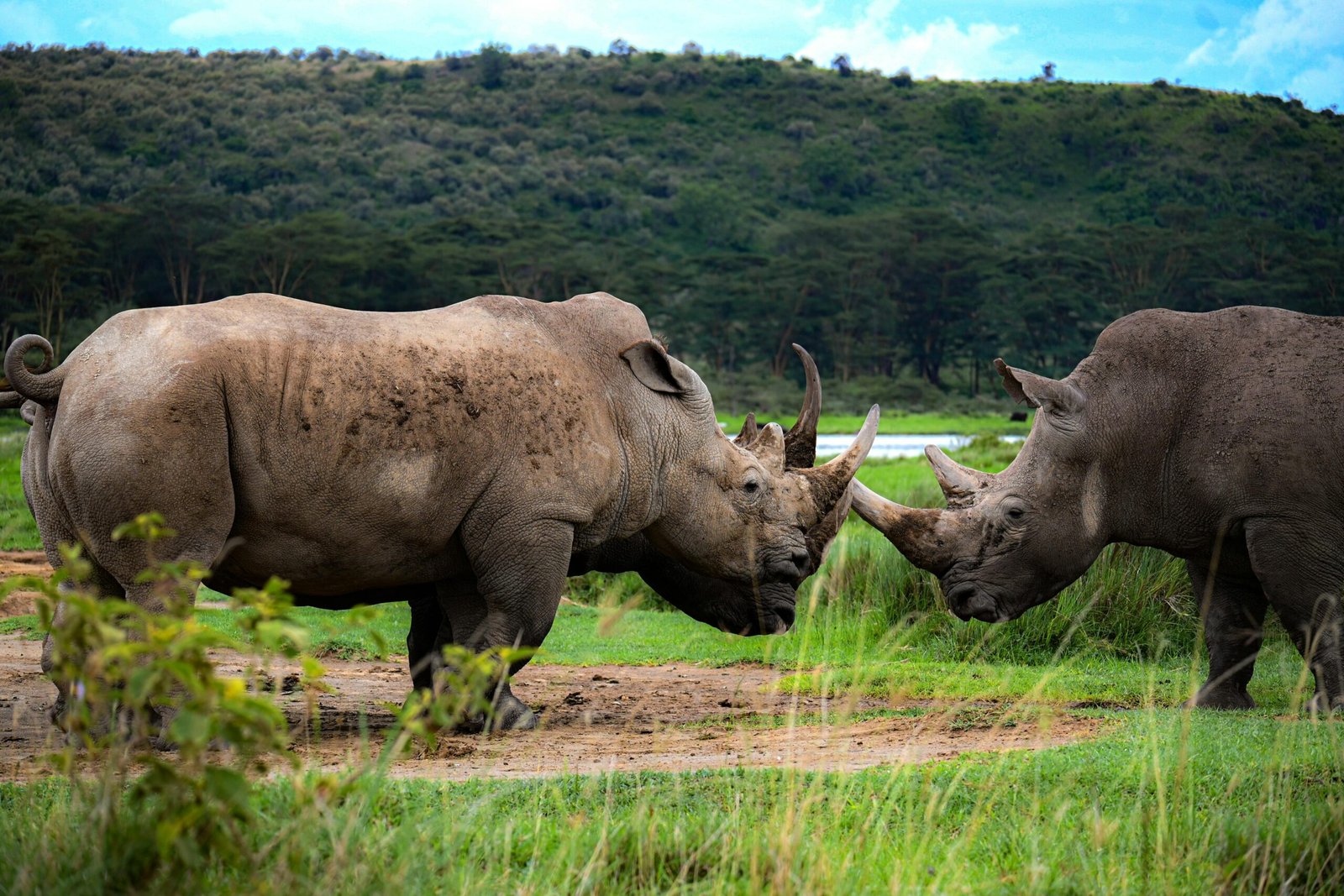 5 days Kenya: a beautiful road trip