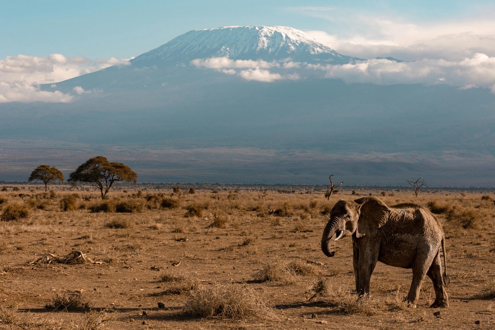 4-day safari in Amboseli National Park