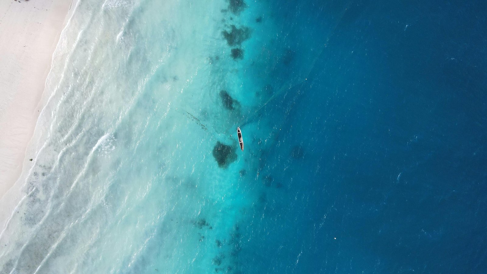 The Zest of Zanzibar