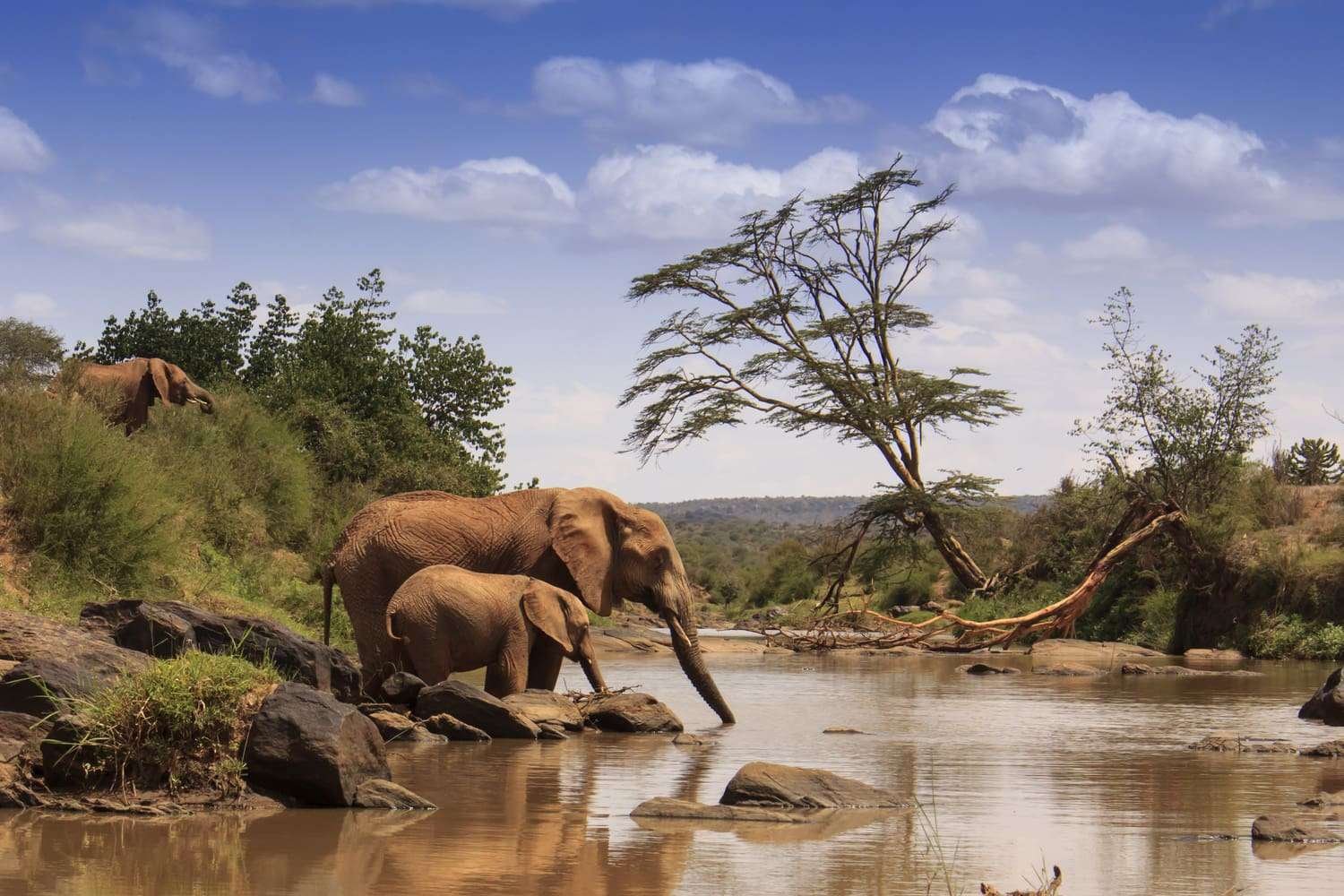 7 DAYS ULTIMATE KENYAN SAFARI